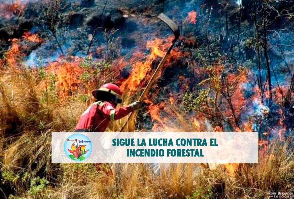 LA LUCHA CONTRA EL INCENDIO FORESTAL EN LOS SECTORES DE QUESERMAYO Y ...